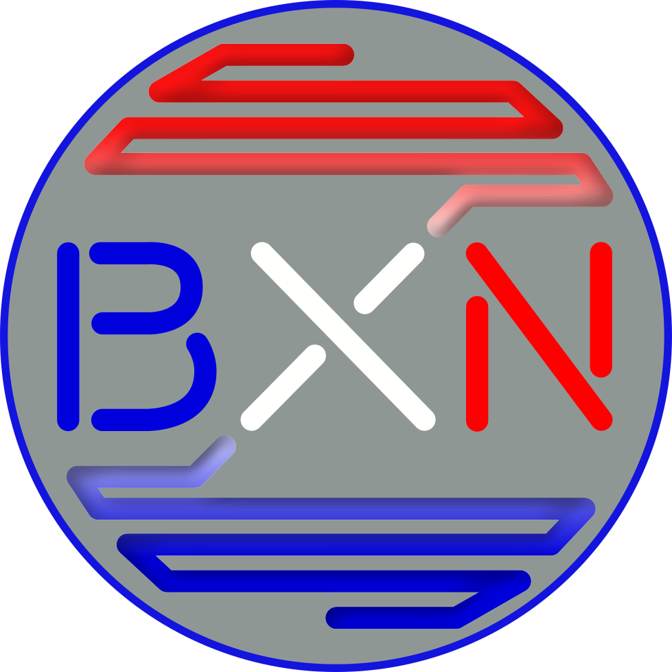 Logo Brixodin