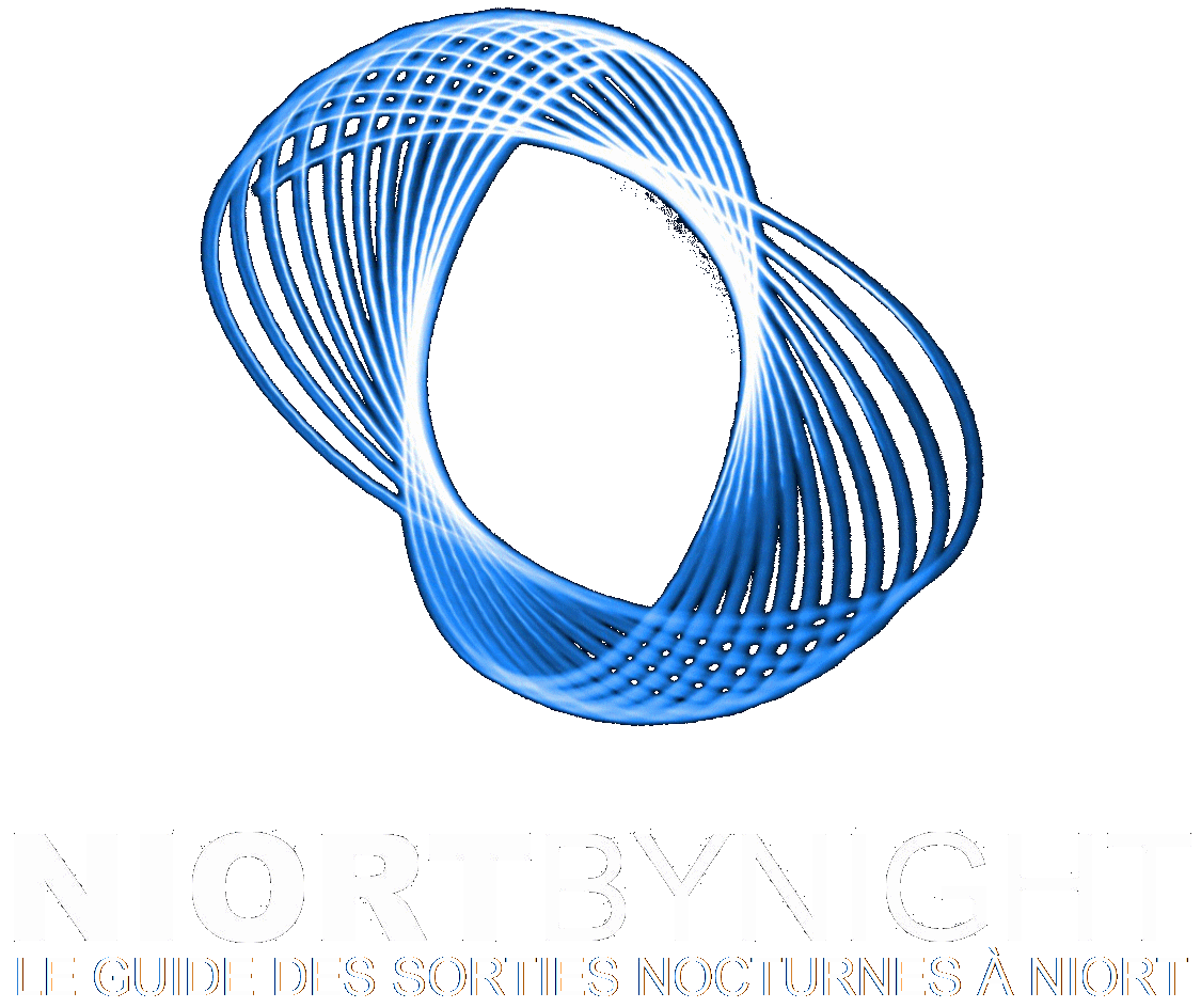 Logo Niort By Night